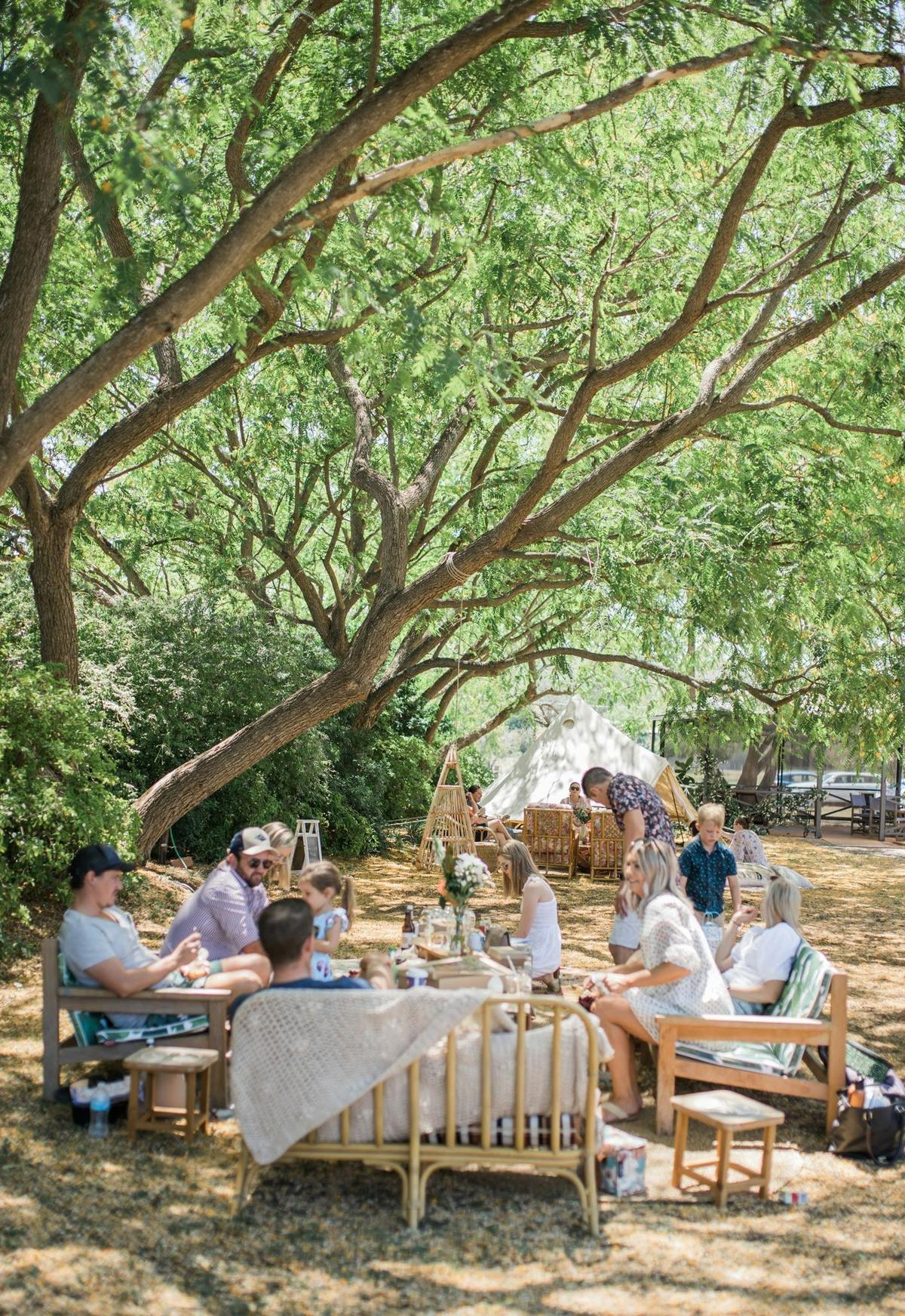 Picnic under the Shady Trees