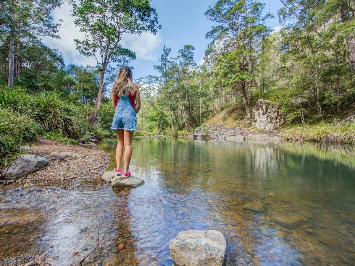 Exploring Stony Creek