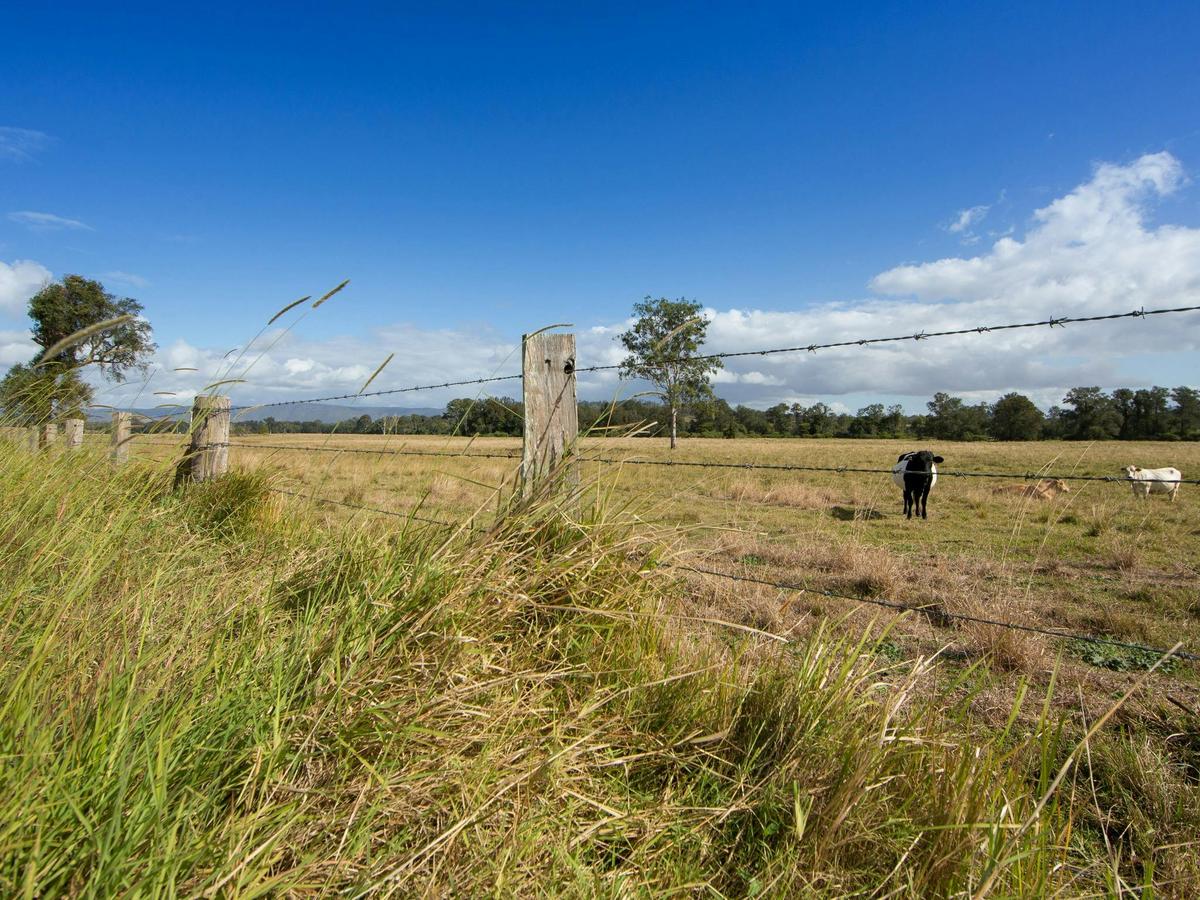 Scenic drive to Stony Creek through farmland