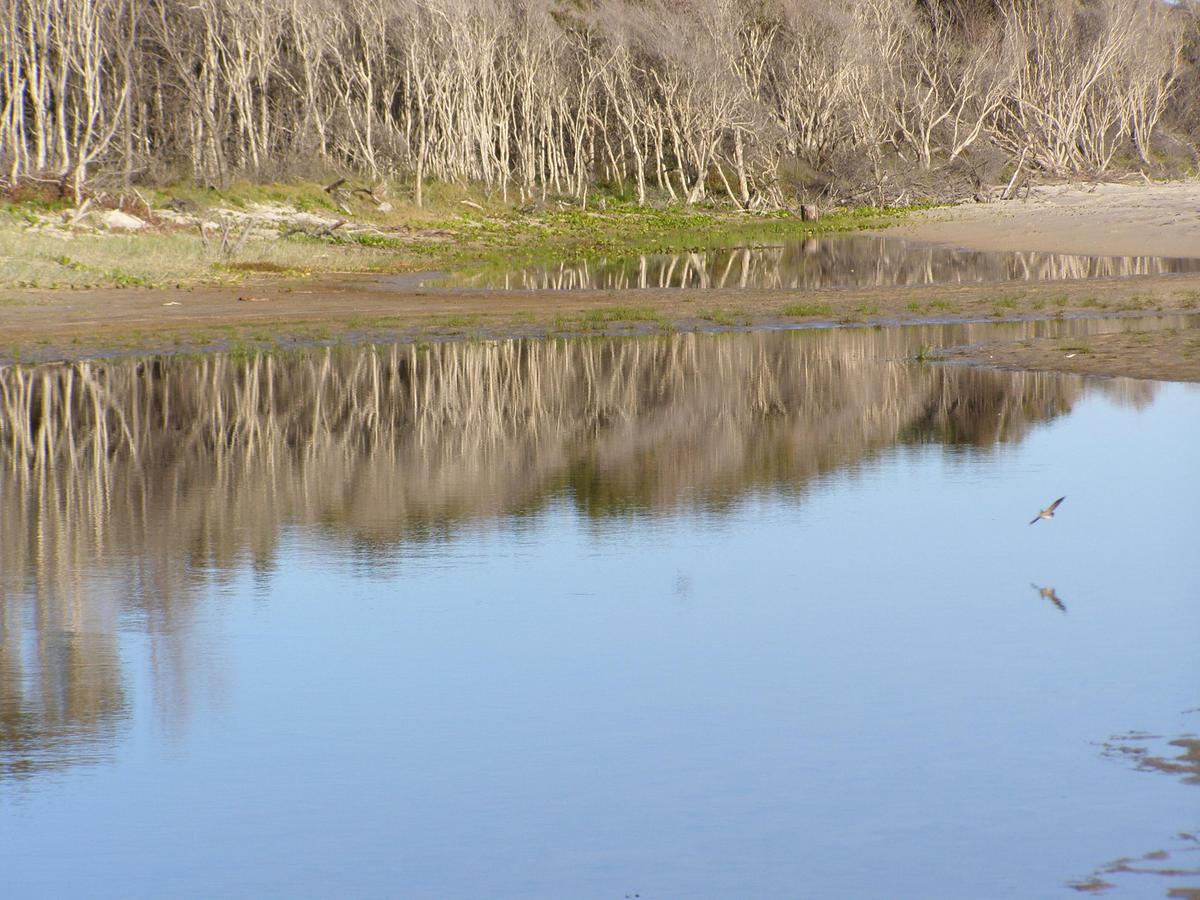 Stunning day on North Stradbroke Island. Even the birds are reflecting!
