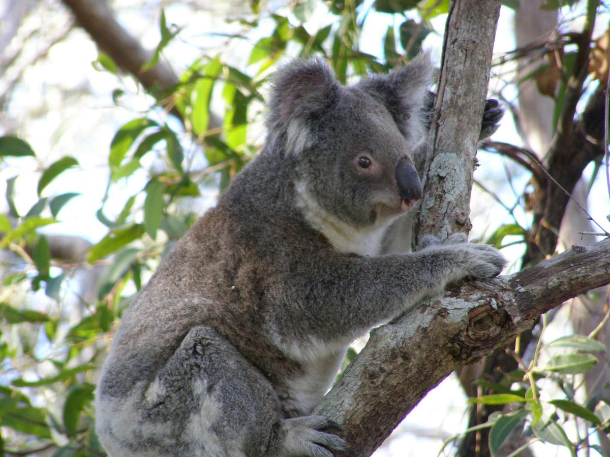 Half Day Four Wheel Drive Eco Tour