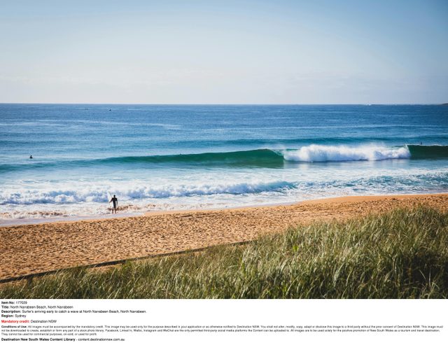 Narrabeen Beach