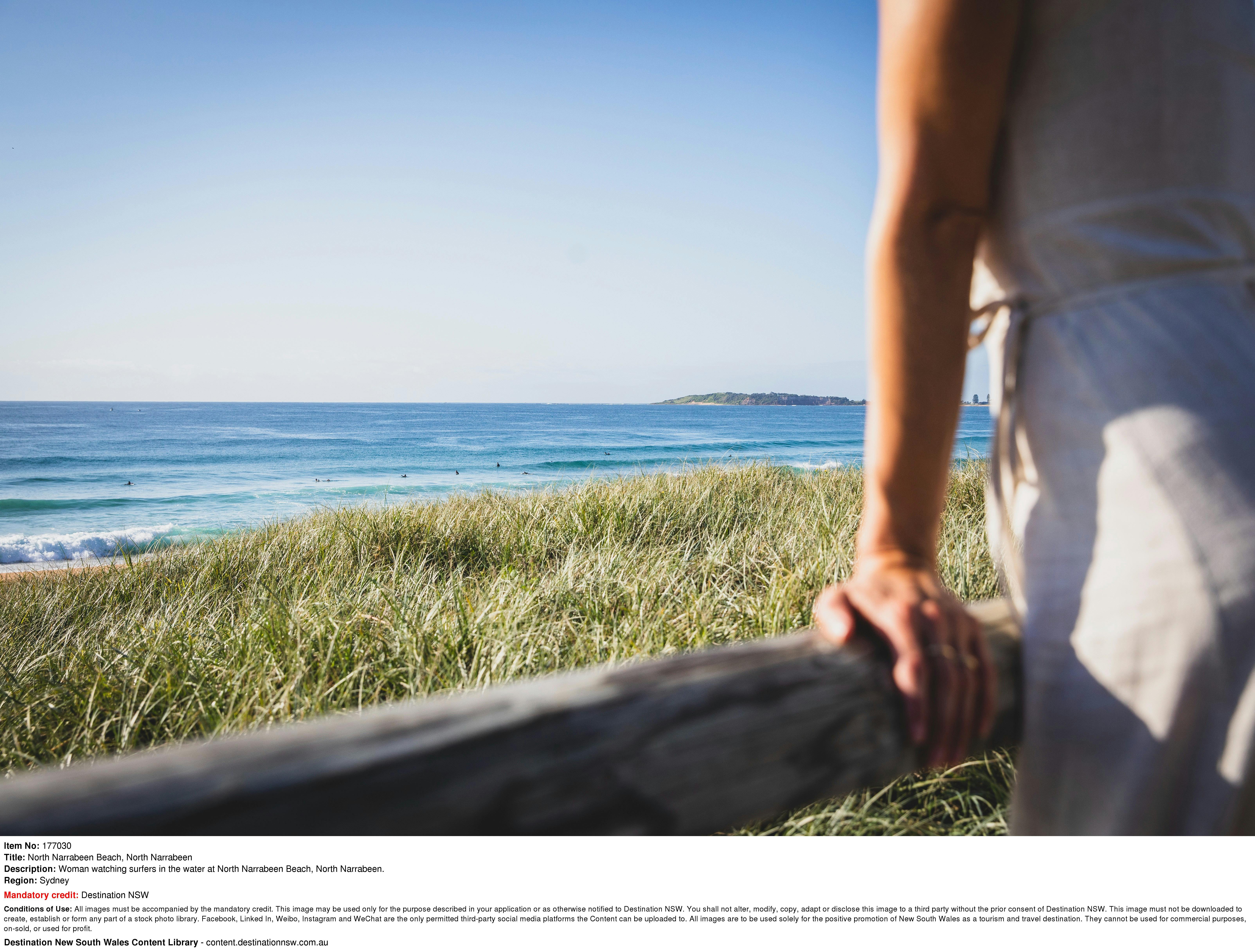 Surf Check on Narrabeen beach