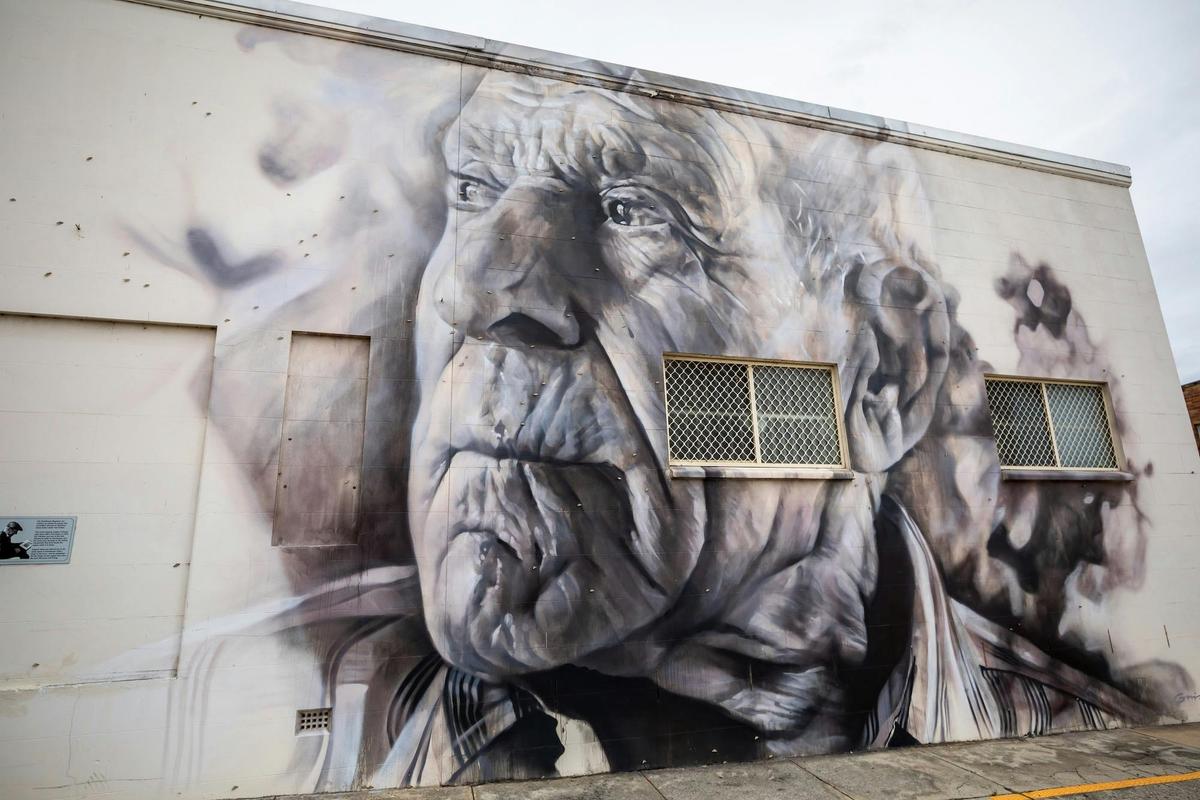 Angelo Valiante by Guido van Helten Mural in Stanthorpe