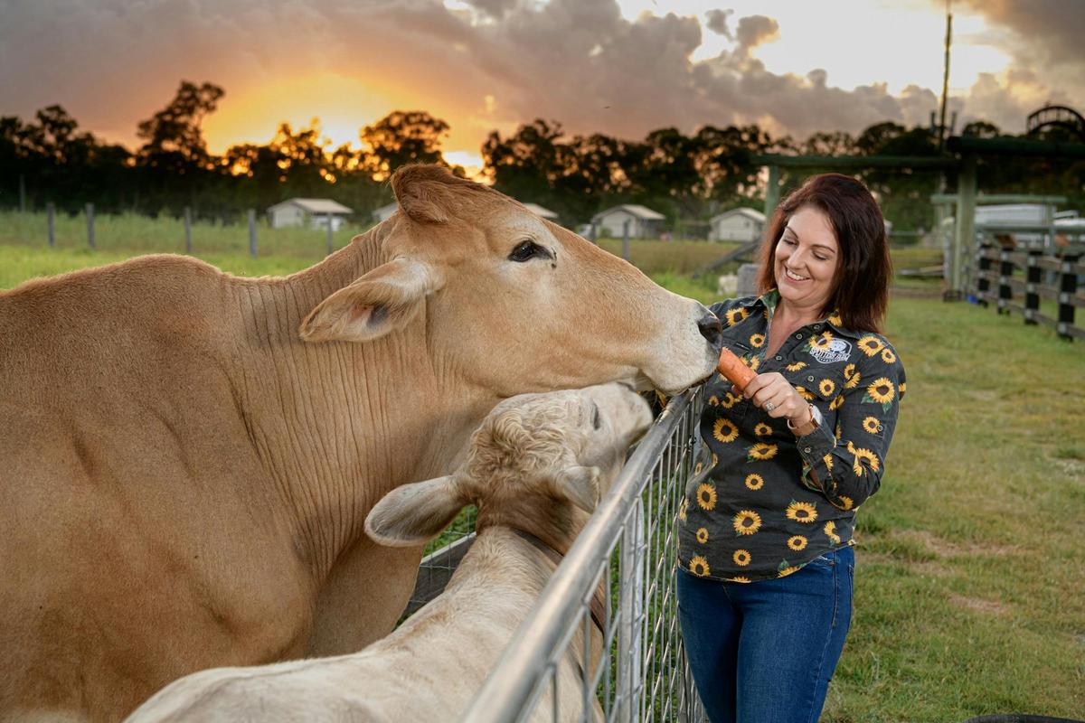 Farm Stay