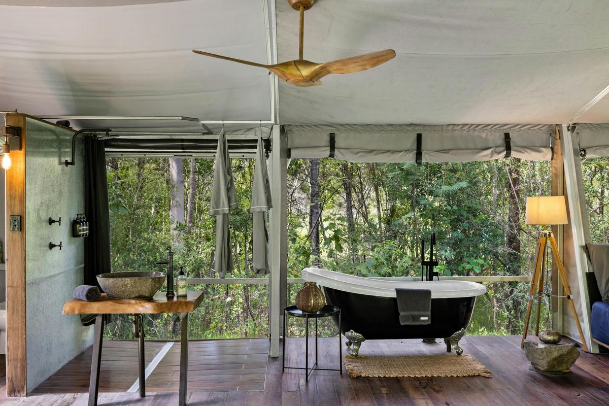 Starry Nights Luxury Camping