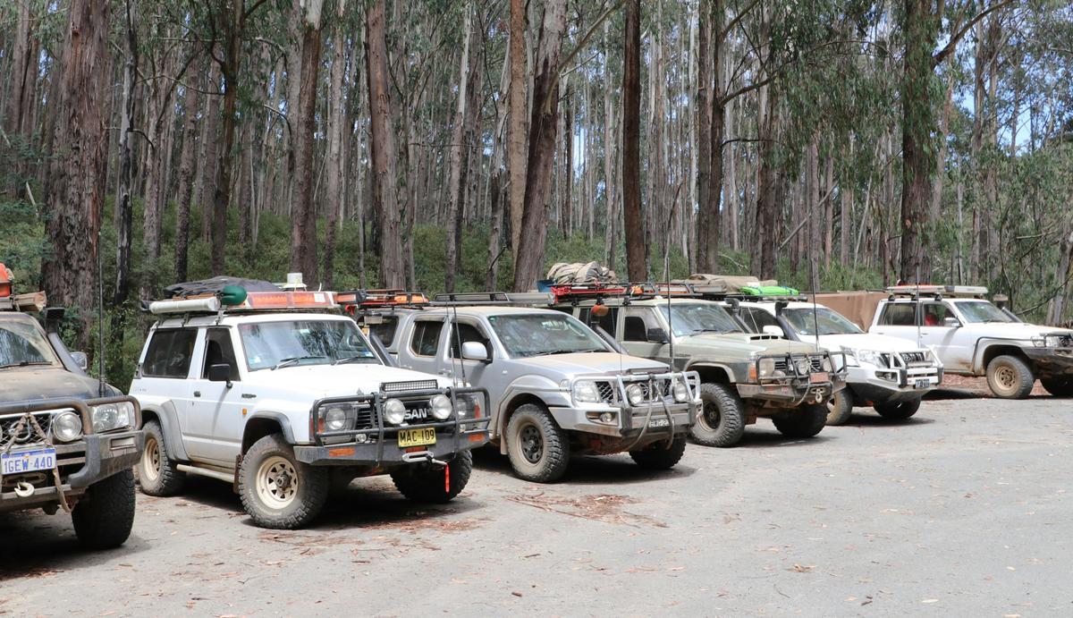Row of Nissan Patrol tagalong group cars parked in front of trees.