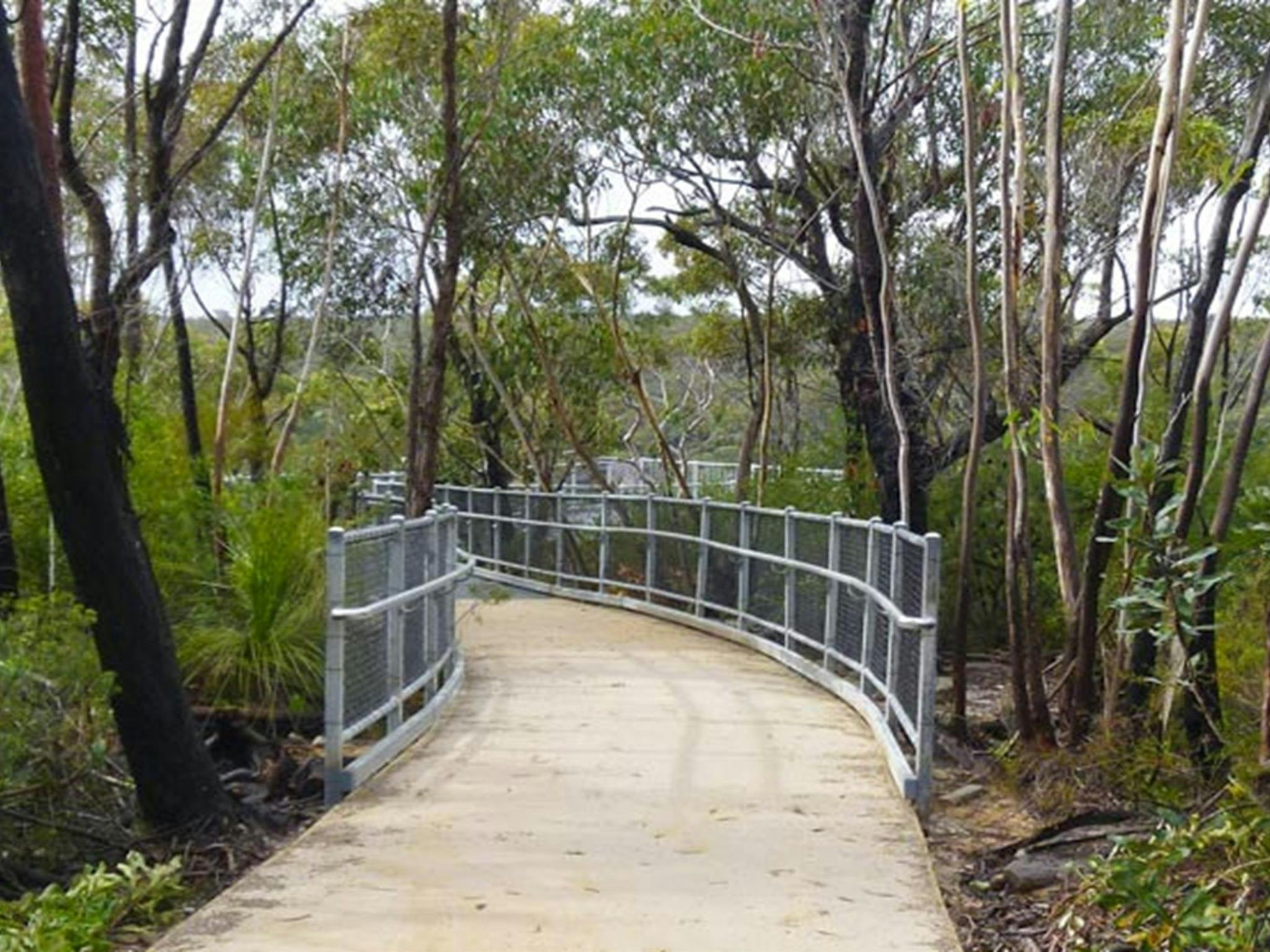 O'Hares Creek lookout walking track, Dharawal National Park. Photo: Victor Harnadi &copy; OEH