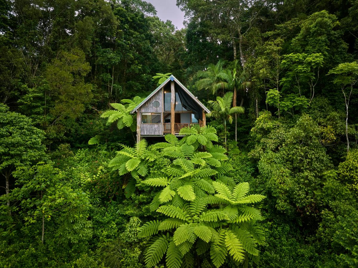 Two Bedroom Treehouse