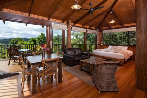 Studio Treehouse