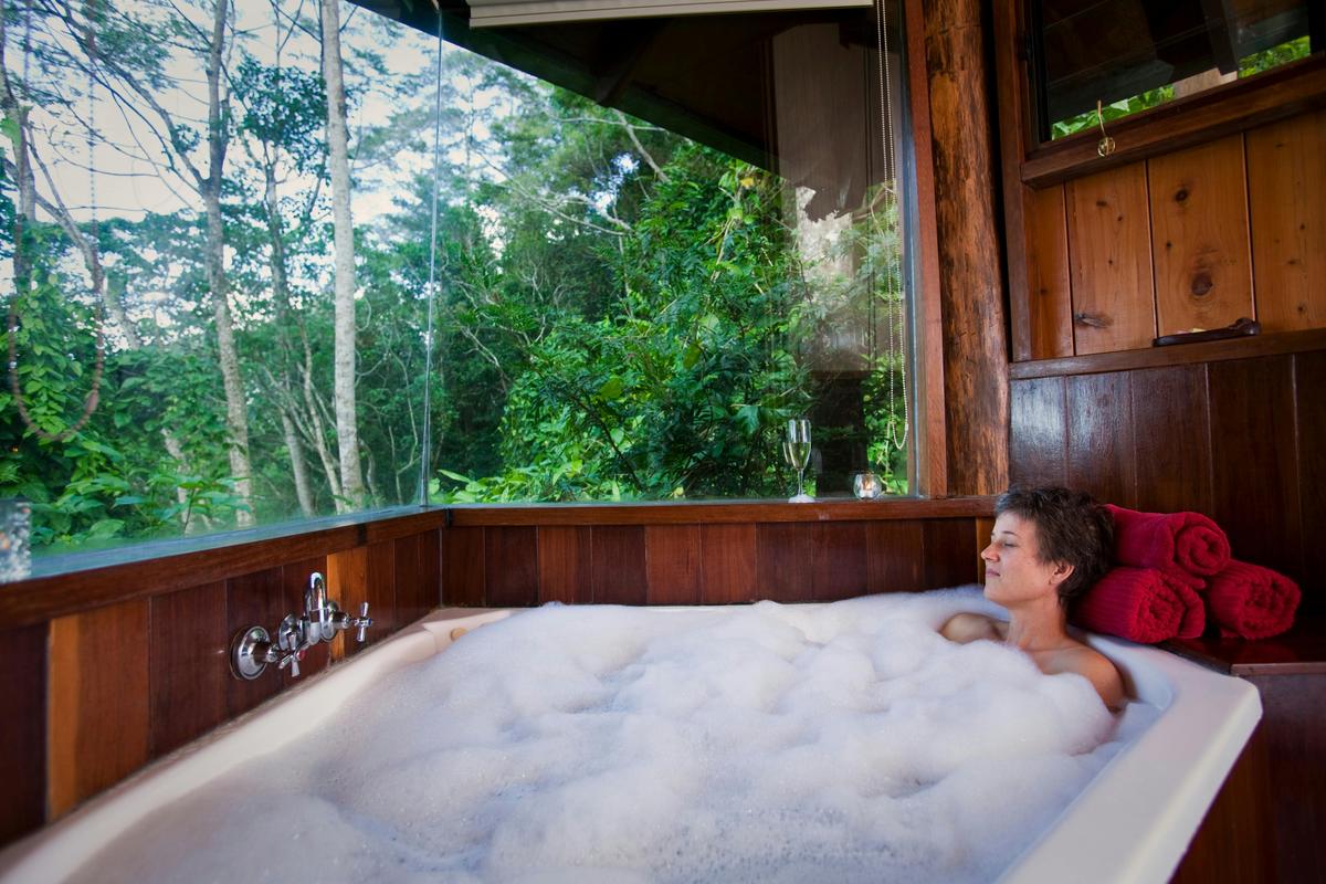 Studio Treehouse