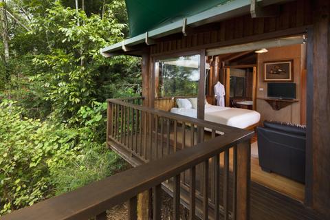 Studio Treehouse