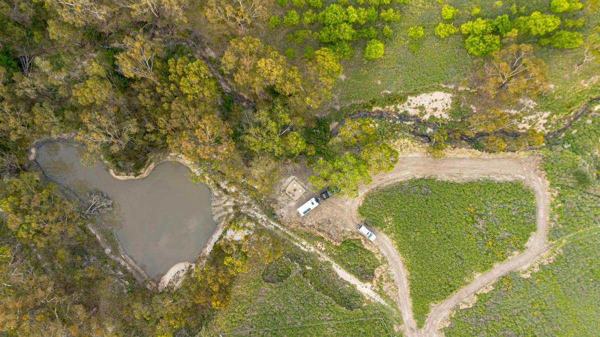 Speakeasy Vineyard