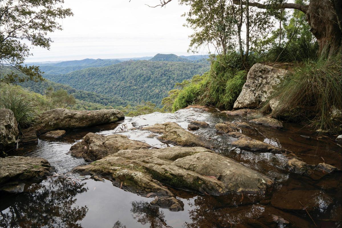Twin Falls Ciruit lookout, Springbrook Plateau, Springbrook National Park