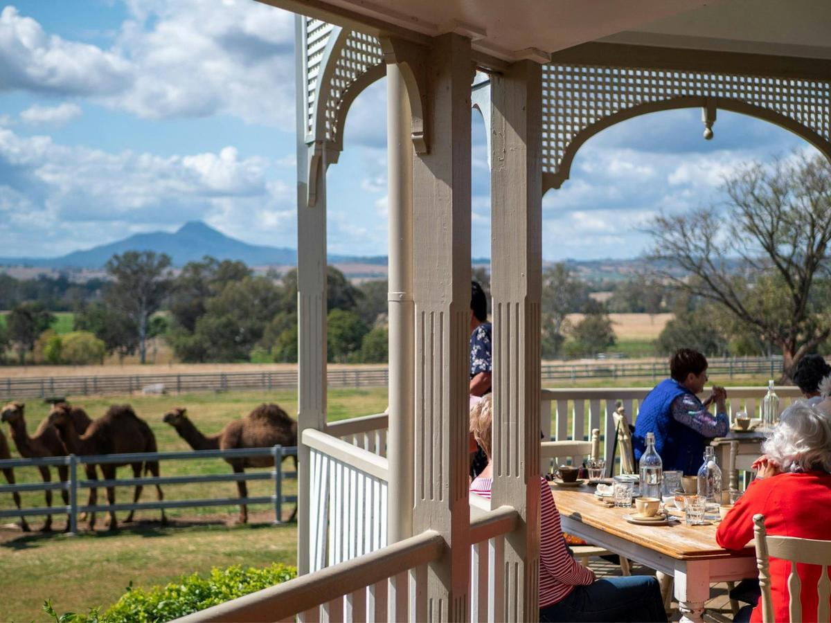 Homestead Cafe