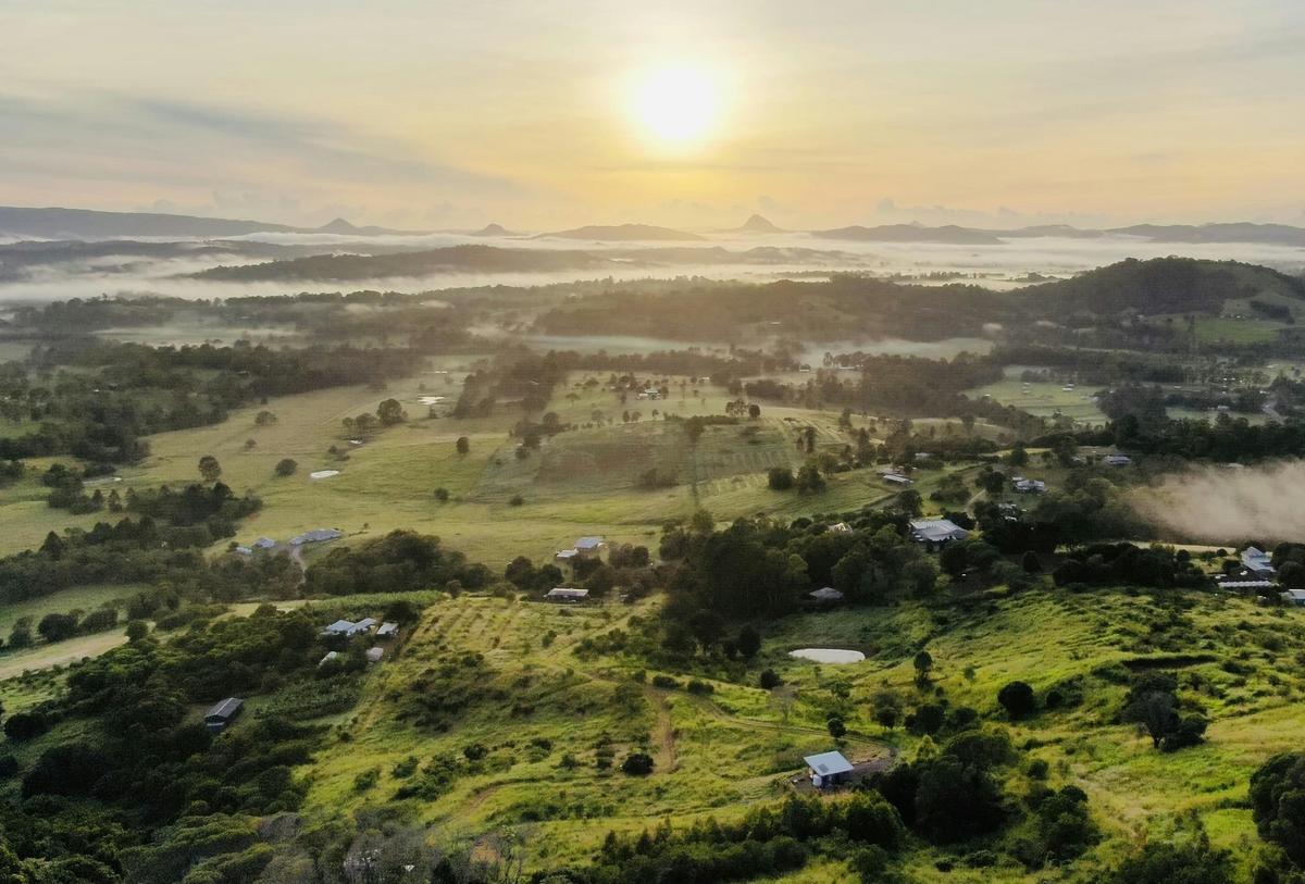 View from The Avocado Tree Farm accommodation