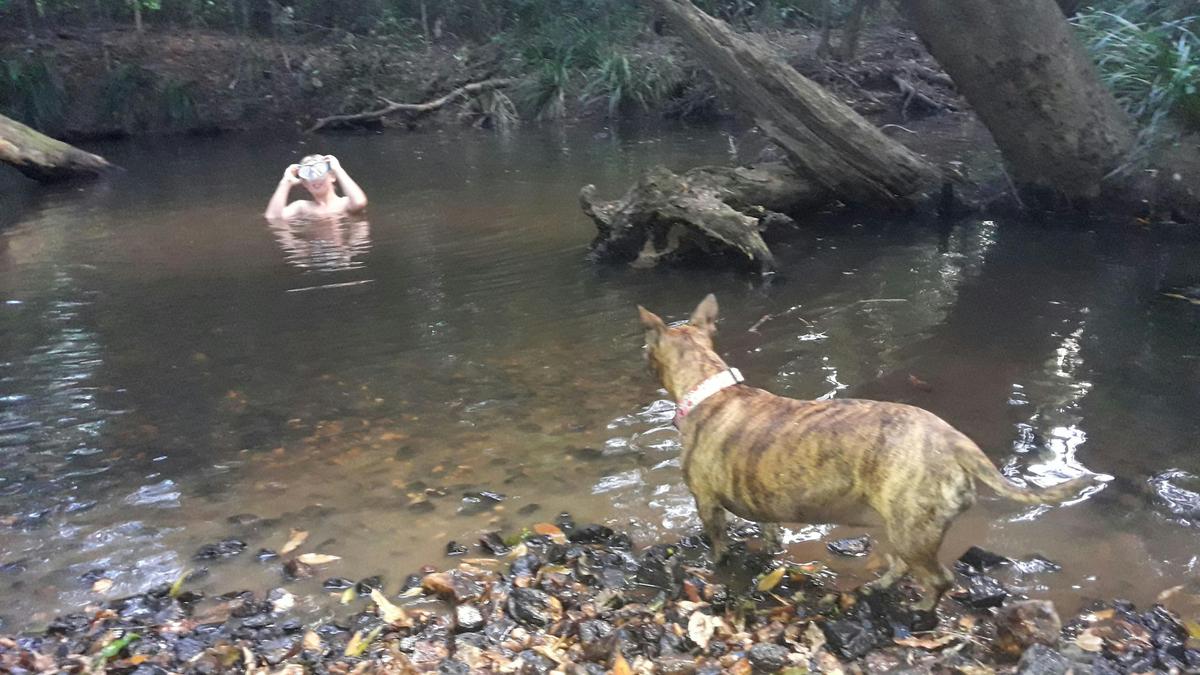 swimming hole