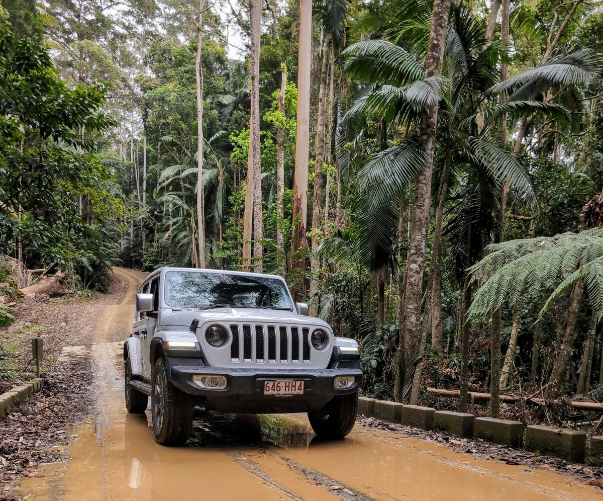 Sunny Jeeps: Conondale National Park, Sunshine Coast, hidden trails, lush forests and natural beauty