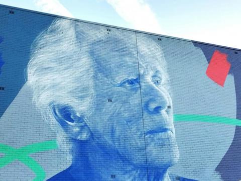 Nowra Street Art Murals
