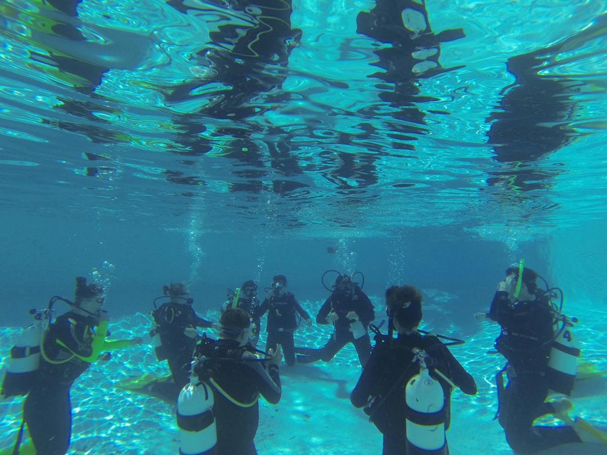 Scuba Diving