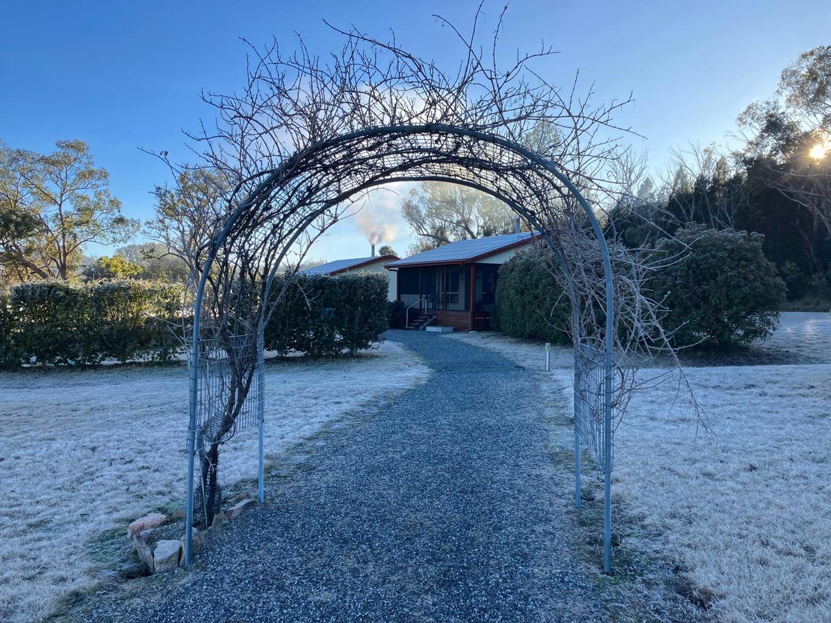 Vine covered archway looking towards the cottages