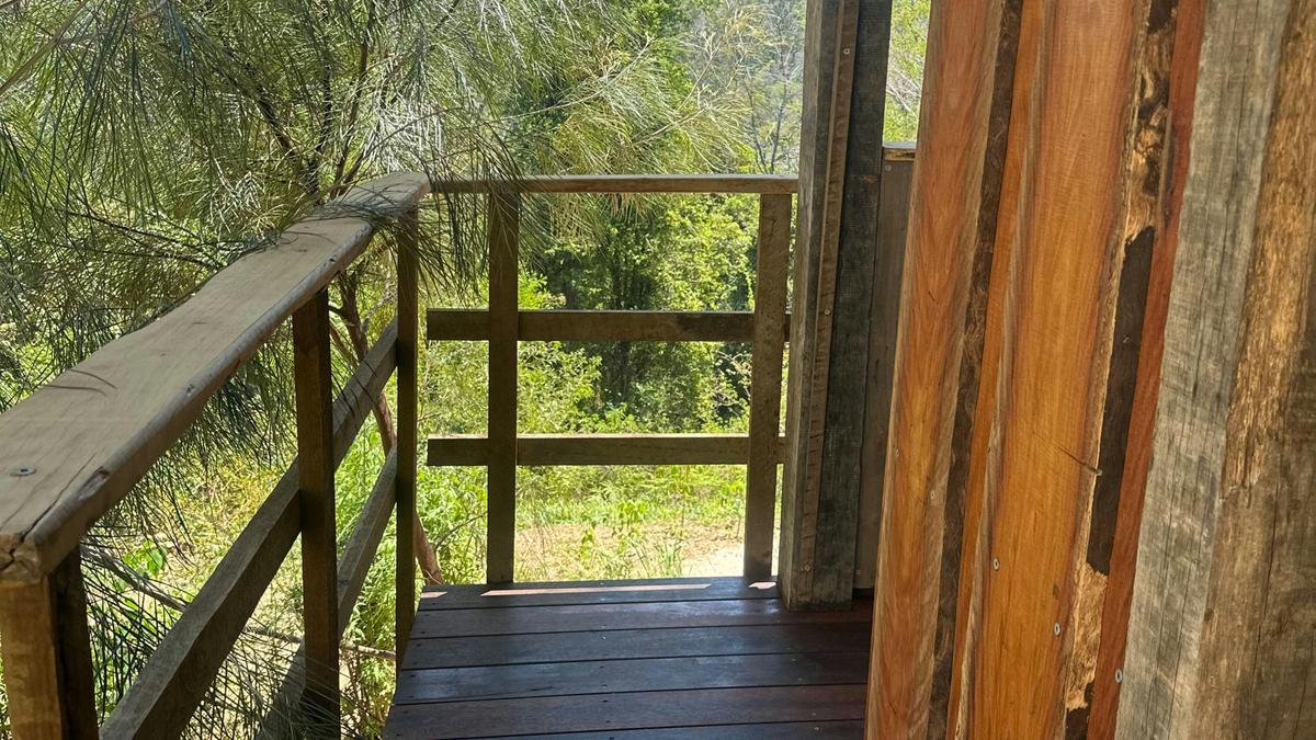 Sustainable Secluded Forestry Camp