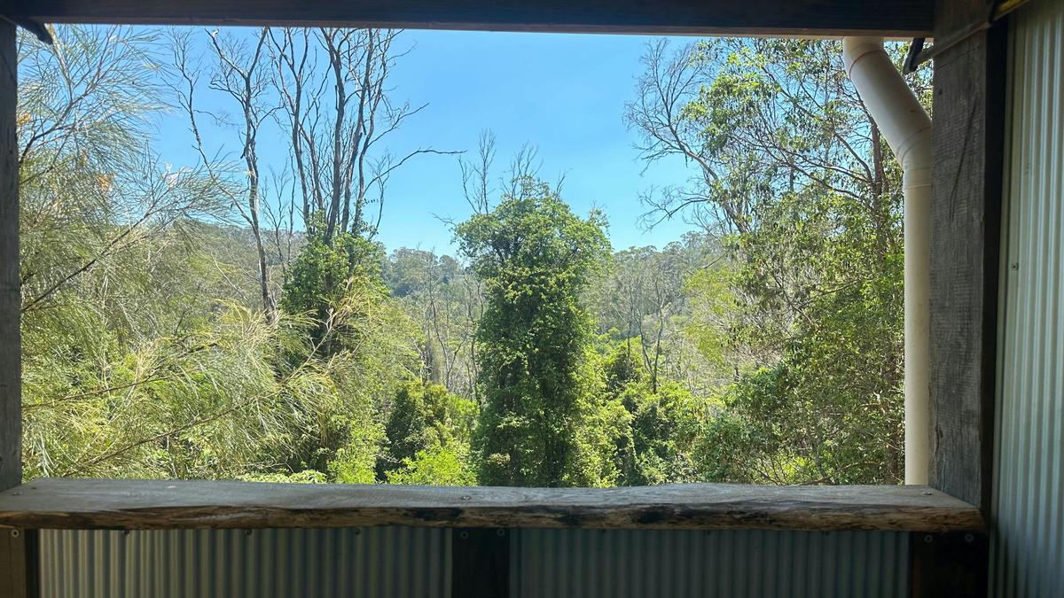 Sustainable Secluded Forestry Camp