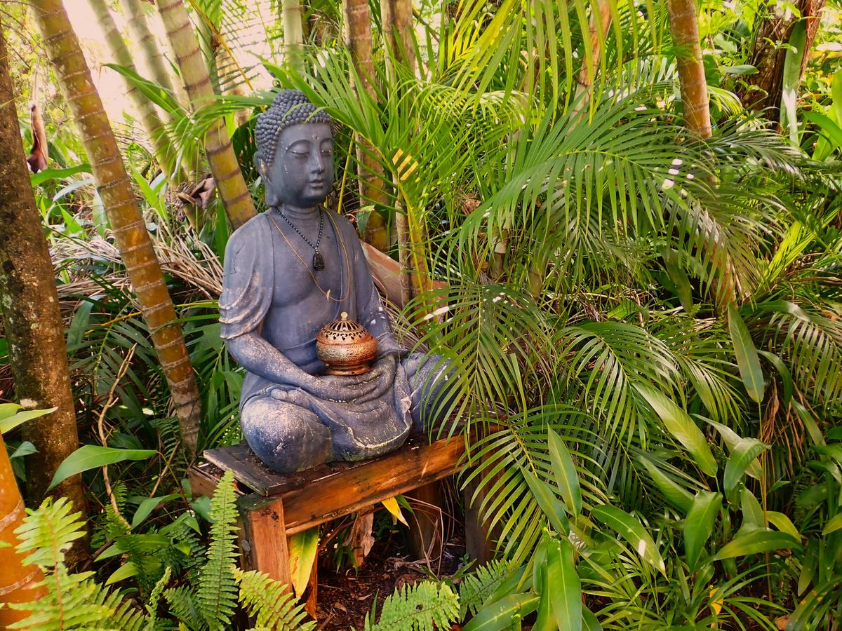 Garden Buddha, Shanti Cafe , Mission Beach, Queensland