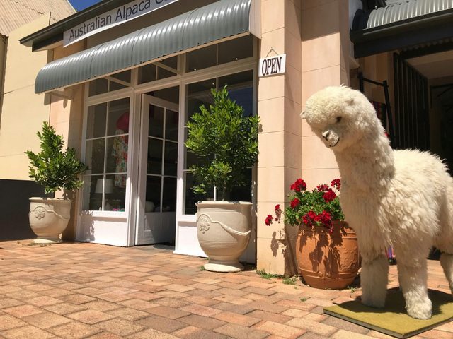 Australian Alpaca Barn - Berrima