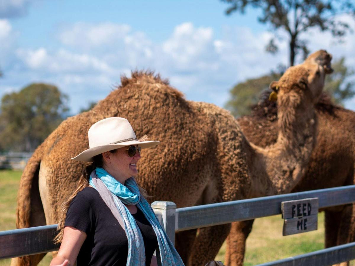 Tour, Taste & Camel Encounter