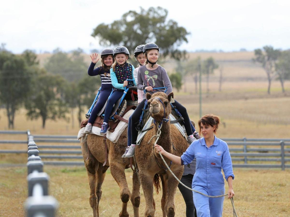Camel Ride