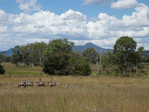 Camel Trail Ride