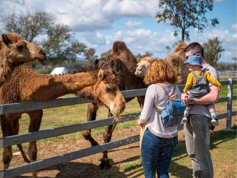 Premium Paddock to Plate Experience