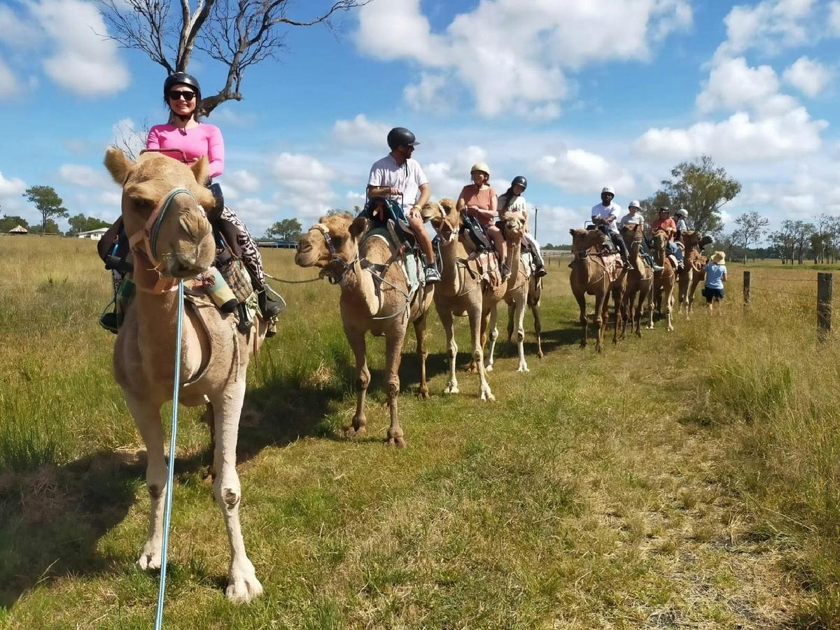 Camel Trail Ride