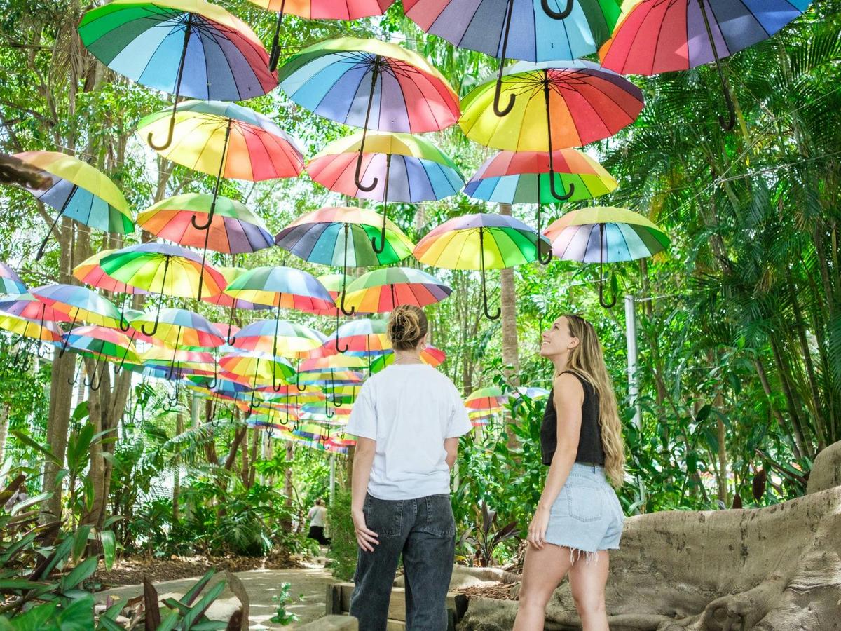 The Rainbrella Project