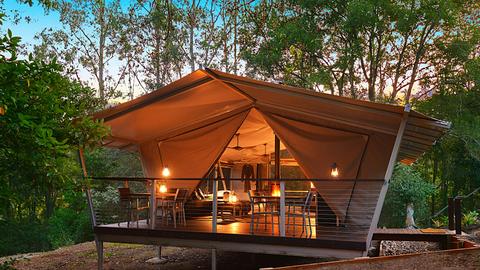 Starry Nights - Luxury Camping