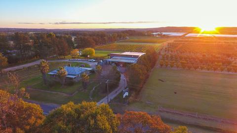 Summit Estate Wines