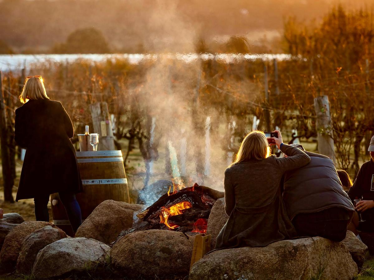 Campfire by the vines