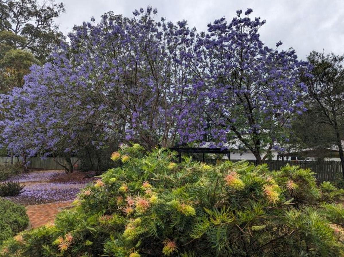 Gardens at St Anne's church in Highfields