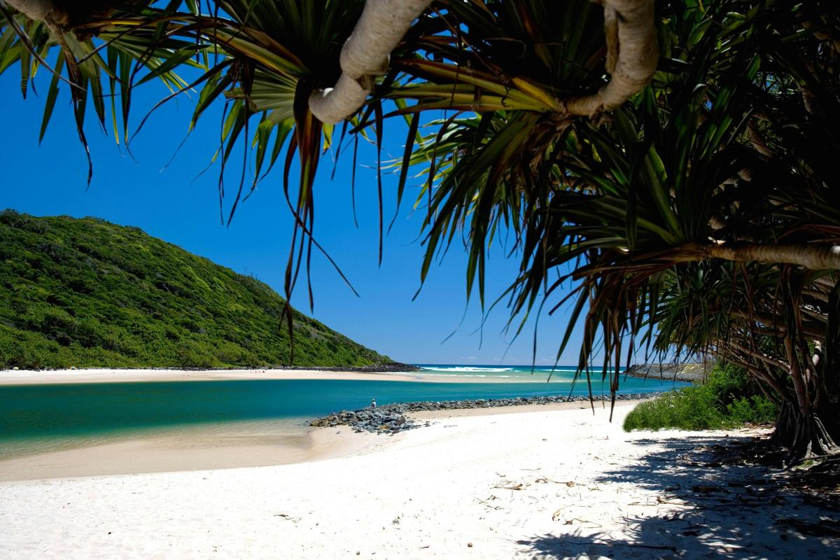 Tallebudgera Creek