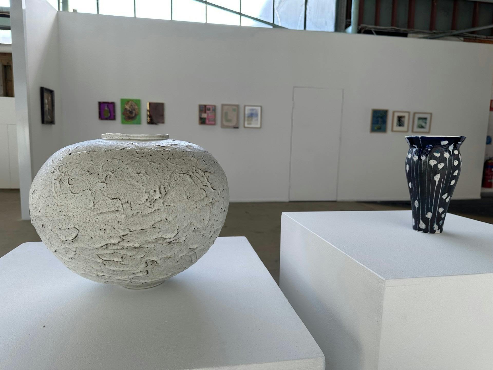 Ceramics in Newcastle Art Space exhibit