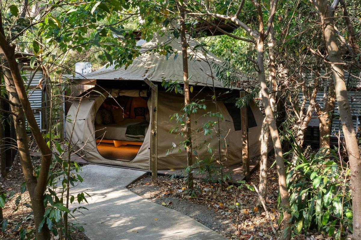 Woodlands Glamping Tents