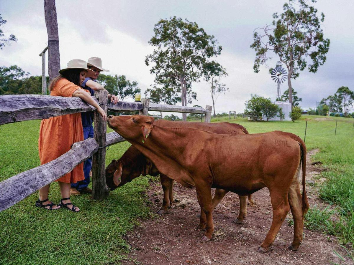 Get up close and personal with our friendly and super cute farm animals, they love the attention