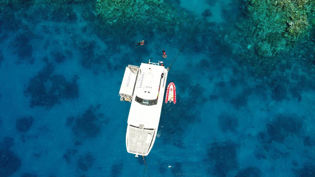 Seastar at Hastings Outer Reef