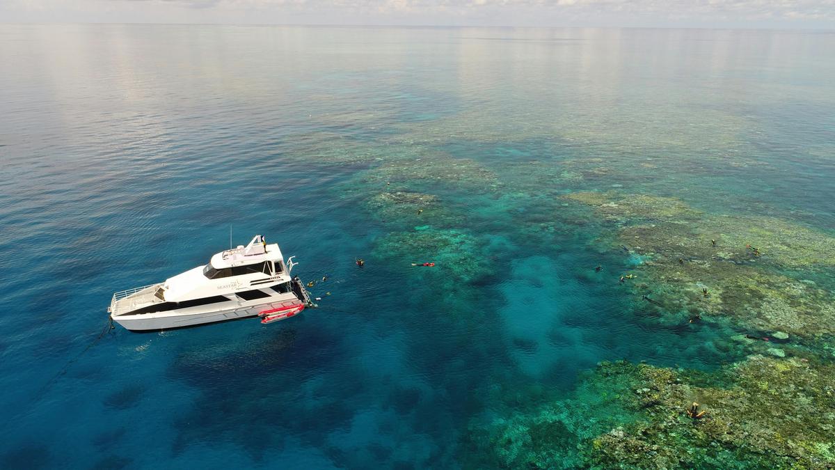 Seastar Cruises