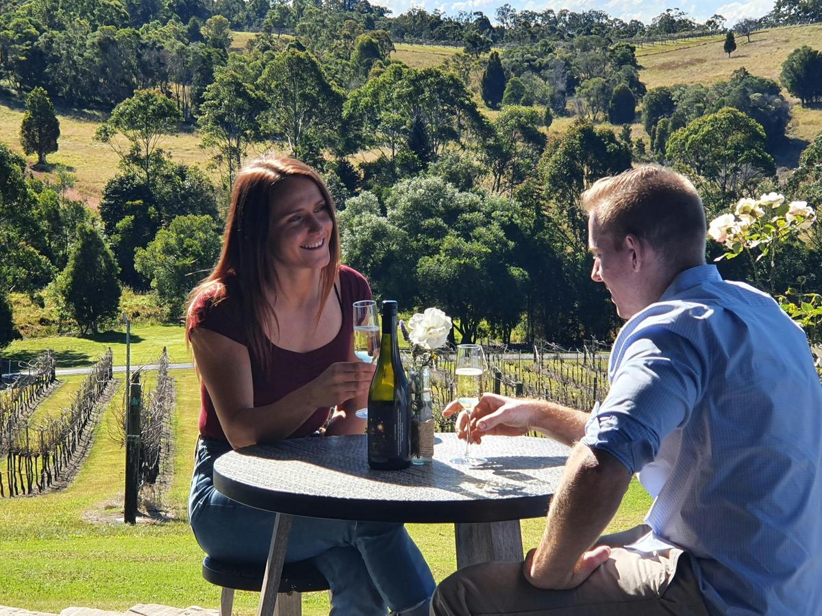 Art in the Vineyard's