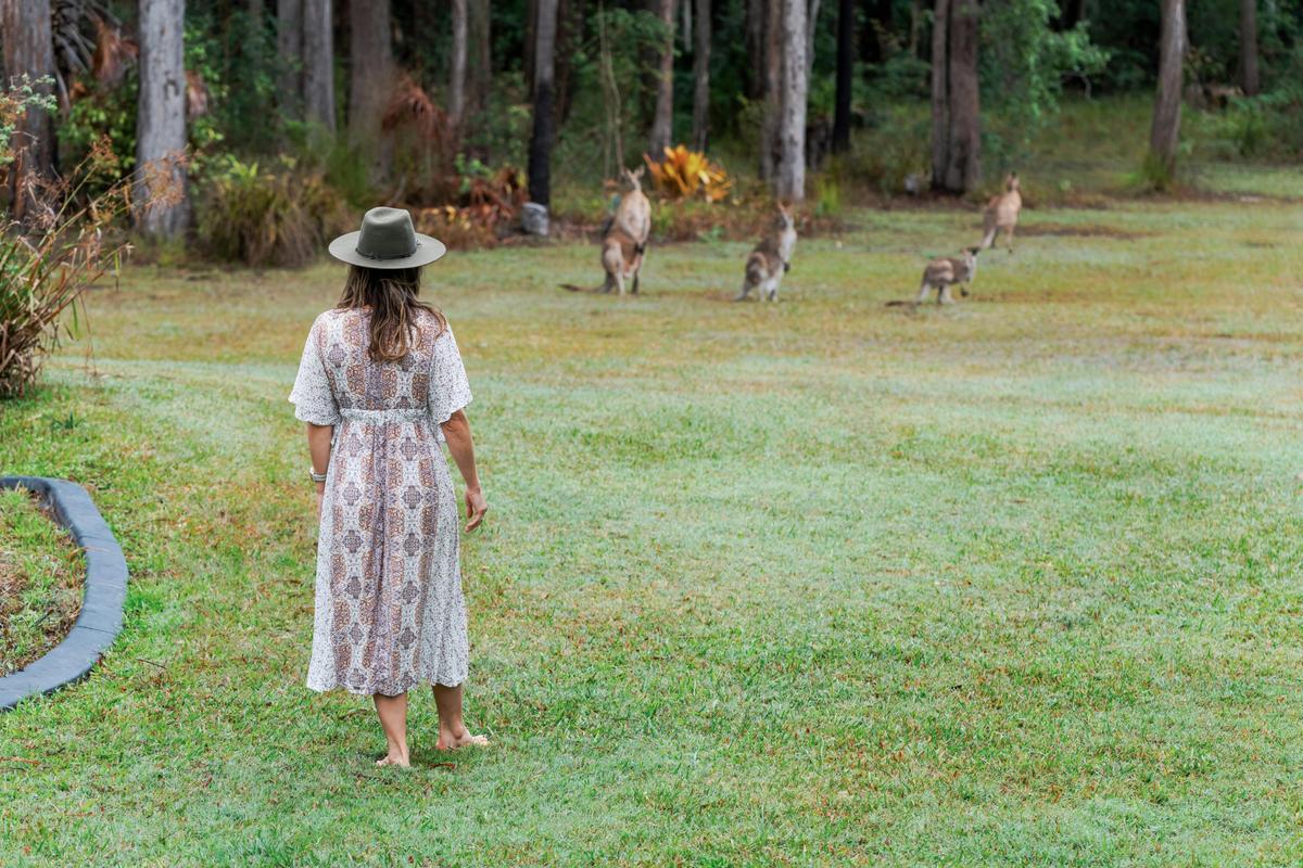 The Noosa Ranch