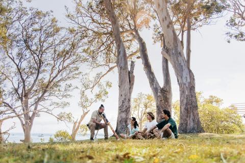 North Stradbroke Island Indigenous Culture & Wildlife Day Tour
