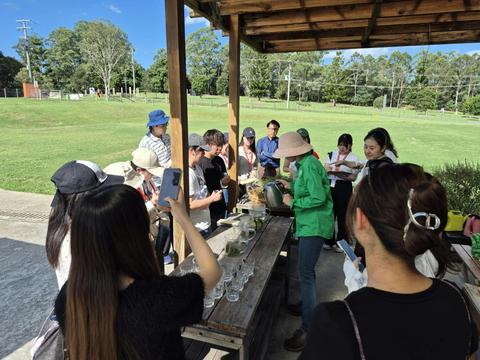 Garden to Cup: A Herbal Tea Experience