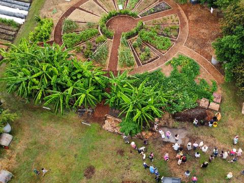The Green Thumb Farm